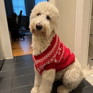 Dog Christmas sweater